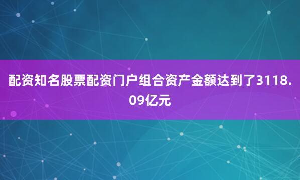 配资知名股票配资门户组合资产金额达到了3118.09亿元