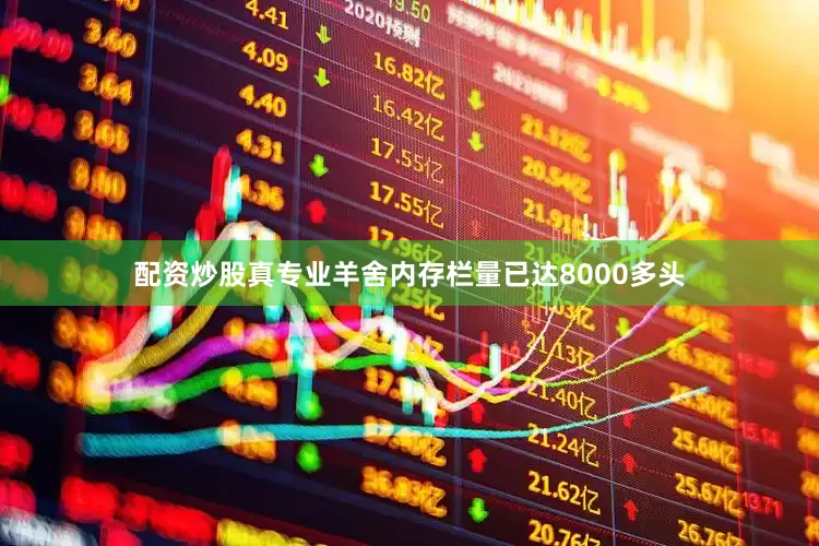 配资炒股真专业羊舍内存栏量已达8000多头