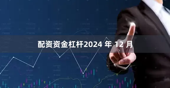 配资资金杠杆2024 年 12 月