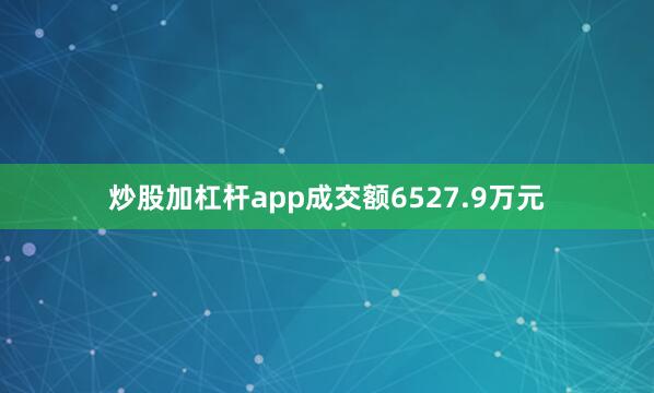 炒股加杠杆app成交额6527.9万元