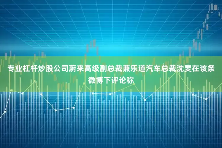 专业杠杆炒股公司蔚来高级副总裁兼乐道汽车总裁沈斐在该条微博下评论称