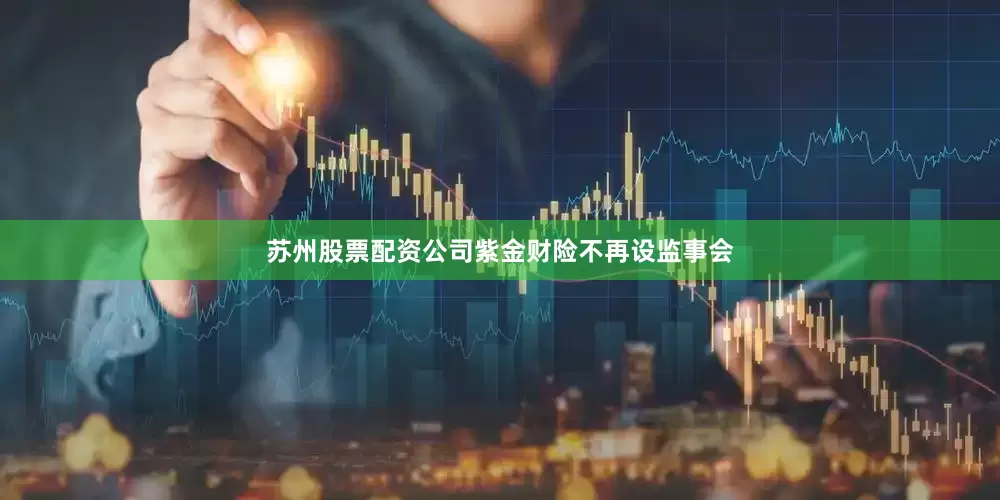 苏州股票配资公司紫金财险不再设监事会