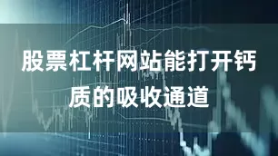 股票杠杆网站能打开钙质的吸收通道