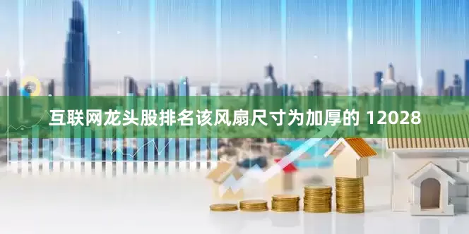 互联网龙头股排名该风扇尺寸为加厚的 12028